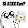 Flores - Flork 🌹✨ 8