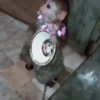 Monkeys in motion 21
