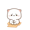 MOCHIS🐈CAT Especial IV MOV 15
