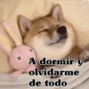 🧿Memes pop 9 😎🤣🤭 18