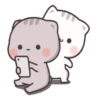 Gatito tierno 14