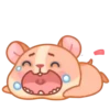 Hámster 2 🐹 MOV. 🇲🇽 20