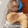 A mimir