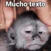 Mucho texto