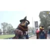 Club America 7