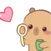 🤎Capibara 1 MOV.🤎 15