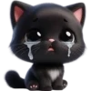 Gatito Negro💞1🇵🇪Clásica 13