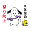 今年開始 努力向上
