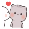 Gatito tierno 16