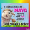 ? Bienvenido Mayo ? 14