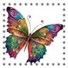 Mariposas🦋4🇨🇷Movi 16