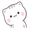 Gatito tierno 17