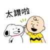 太讚啦