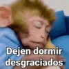 Dejen dormir desgraciados