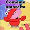 🧿Memes pop 9 😎🤣🤭 24