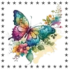 Mariposas🦋4🇨🇷Movi 17