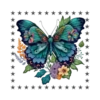 Mariposas🦋4🇨🇷Movi 18