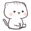 Gatito tierno 18