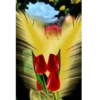 🌷ᑲeᥲᥙtіfᥙᥣ fᥣ᥆ᥕers 💐 21