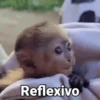 Reflexivo