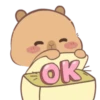 🤎Capibara 1 MOV.🤎 16