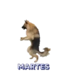 Miércoles ✨ 14