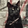 Animals 15