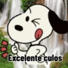 2 Excelente culos