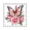 Mariposas🦋4🇨🇷Movi 20