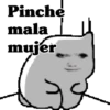 🧿Memes pop 9 😎🤣🤭 25
