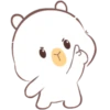 🤍Capibara 2 MOV.🤍 18