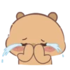 🤎Capibara 1 MOV.🤎 19