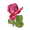 FLORES BONITAS 17