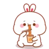 Bunny ⛧1🇪🇸Movi 22