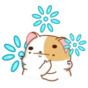 Colección sushi cat mov 17