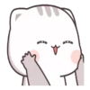 Gatito tierno 24