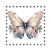 Mariposas🦋4🇨🇷Movi 23