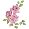FLORES BONITAS 18