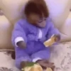 Monkeys in motion 25