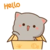 GH Goma&PeachCats1 23