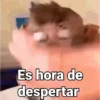 Es hora de despertar