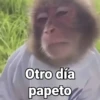 Otro día papeto