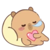 🤎Capibara 1 MOV.🤎 21