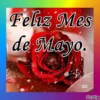 ? Bienvenido Mayo ? 18
