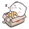 Gatito tierno 27
