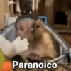 Paranoico