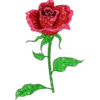 FLORES BONITAS 24