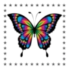 Mariposas🦋4🇨🇷Movi 25