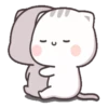 Gatito tierno 29