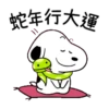 蛇年行大運